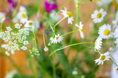 mevsimlik yaz yaban çiçekleri, bir vazo yaz