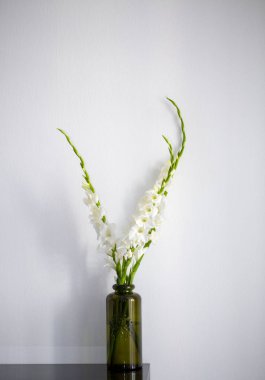 bir vazo beyaz gladiolus buketi