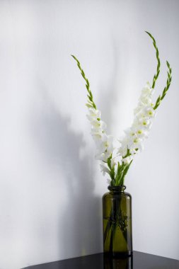 bir vazo beyaz gladiolus buketi