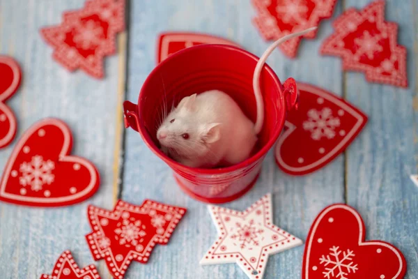 Ratón blanco en los atributos festivos de la Navidad. Símbolo de th — Foto de Stock