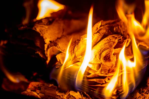 Old Book Burning Fireplace Fire Fireplace — Stock Photo, Image