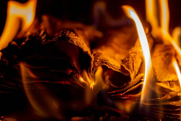 Libro Viejo Ardiendo Chimenea Fuego Chimenea — Foto de Stock