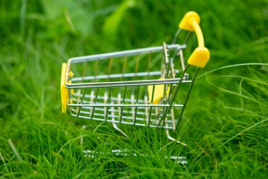 Bahçedeki çimlerin üzerinde boş bir market arabası yatıyor.