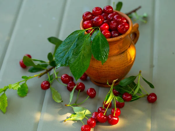red cherry in a ceramic jug in the summer garden in summer