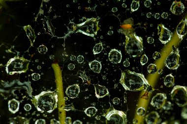 Yazın rastgele bir bulanıklıkta bir ağdaki yağmur damlalarının dokusu