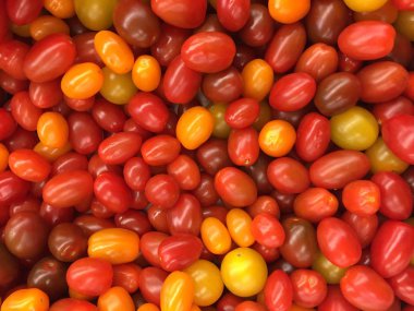 Kırmızı ve Sarı kiraz domates desen