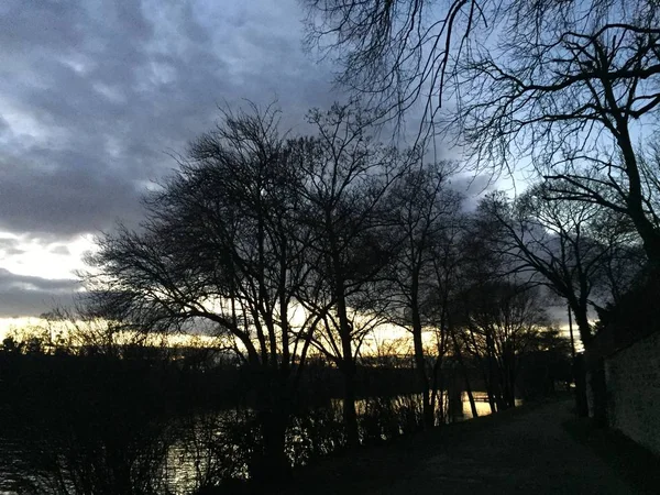 Sonnenuntergang Mit Kahlen Bäumen Und Fluss — Stockfoto