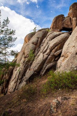 Mavi gökyüzünde dikey olarak ağaçlarla çevrili kayalar.