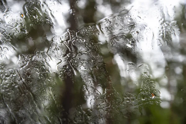 photo of rain through car glass in the evening in the forest