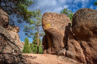 Çam kayalıklarının fotoğrafları ve yatay olarak tarlaların uzaklık görüntüsü.