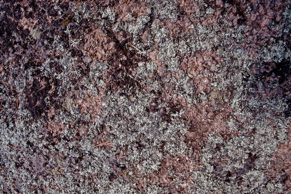 Background Texture Rock Stone Moss Horizontal — Stock Photo, Image