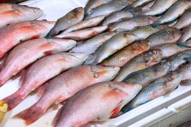 Londra'da Billingsgate balık pazarı