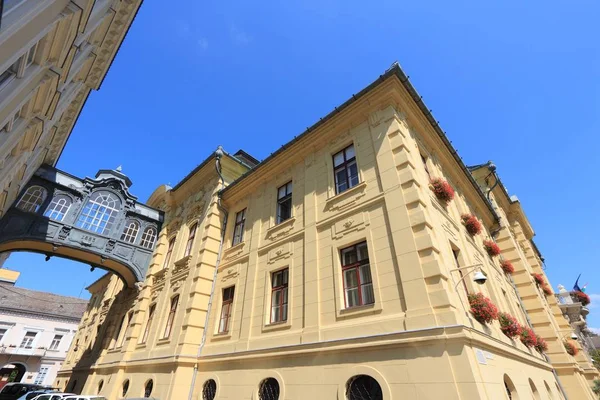 Szeged Macaristan Belediye Binası Yerel Yönetim Binası — Stok fotoğraf