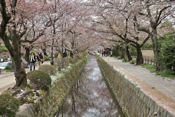 Kyoto Japan April 2012 People Visit Philosopher Walk Kyoto Japan — Stock Photo, Image