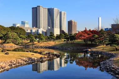 Tokyo siluetinin - gökdelen yansıma Hamarikyu bahçeleri.