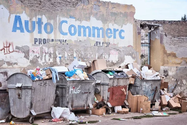 Szabadka Szerbia Augusztus 2012 Települési Hulladék Dumpsters Szabadka Szerbia 2016 — Stock Fotó