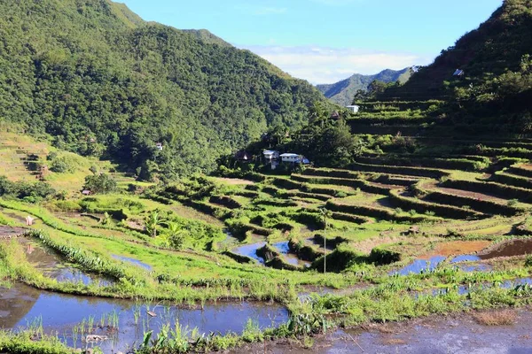 Terrazas Arroz Filipinas Cultivo Arroz Aldea Batad Área Banaue —  Fotos de Stock