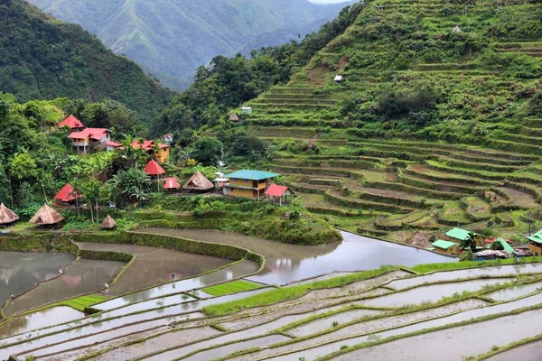 Philippinen Reisterrassen Reisanbau Dorf Batad Bananengebiet — Stockfoto