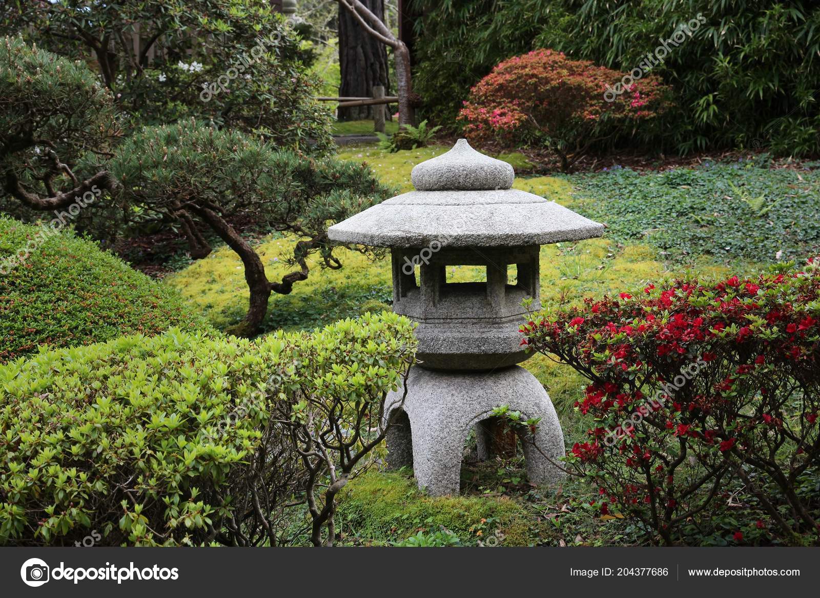 San Francisco California Japanese Tea Garden Golden Gate Park