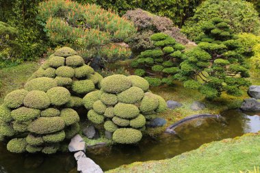 San Francisco, California - Golden Gate Park Japon Çay Bahçesi.