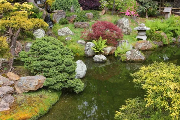 San Francisco Kalifornien Japanischer Teegarten Golden Gate Park — Stockfoto