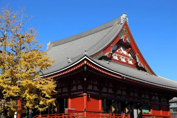 Asakusa Sonbahar Görünümü Tokyo Sensoji Tapınağı Eski Ahşap Simgesel Yapı — Stok fotoğraf