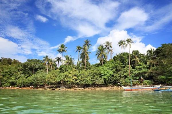 Paisaje Natural Isla Palawan Filipinas Isla Serpiente —  Fotos de Stock