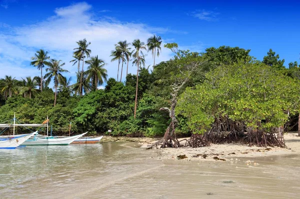 Paisaje Natural Isla Palawan Filipinas Isla Serpiente — Foto de Stock