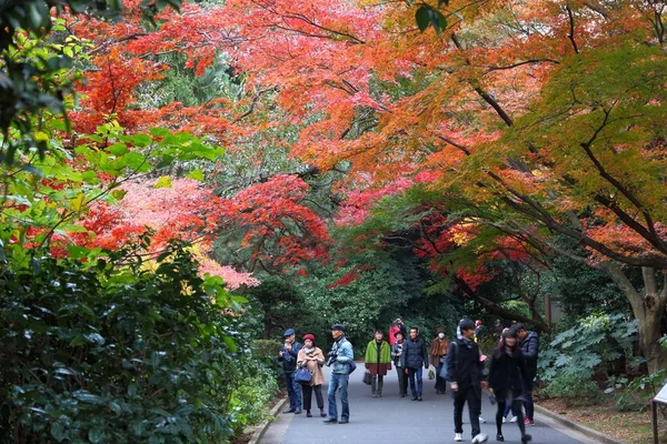 2016 東京都の新宿御苑をご覧ください 新宿御苑の紅葉の祝典が特徴です — ストック写真