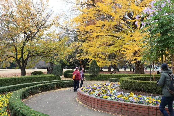 Tokyo Japão Novembro 2016 Pessoas Visitam Shinjuku Gyoen Tóquio Japão — Fotografia de Stock