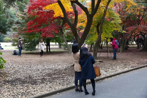 Τόκιο Ιαπωνία Νοεμβρίου 2016 Άτομα Που Λαμβάνουν Φθινοπωρινές Φωτογραφίες Κινητά — Φωτογραφία Αρχείου