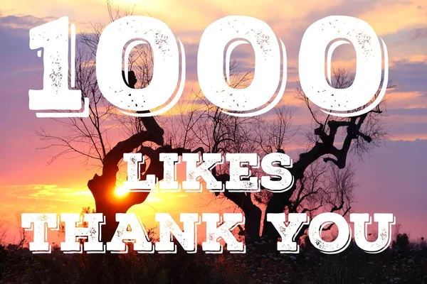 1000 likes - thank you banner. Social media milestone sign.
