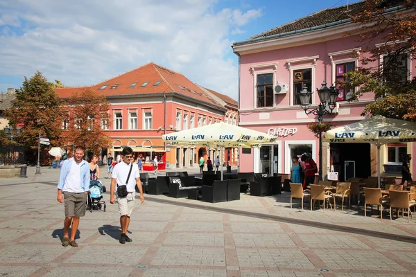 Novi Sad 塞尔维亚 2012 人访问塞尔维亚诺维萨老城 2011 年塞尔维亚已经超过 200 万的游客和维萨是第 次访问量最大的镇 — 图库照片