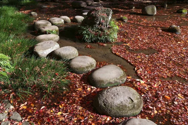 Otoño Tokio Japón Koishikawa Korakuen Camino Piedra Hojas Caídas Agua —  Fotos de Stock