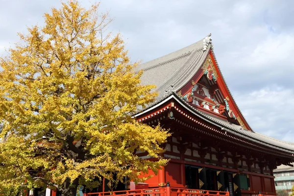 Vista Otoño Asakusa Tokio Templo Sensoji Antiguo Hito Madera — Foto de Stock