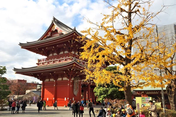 Tokio Japón Noviembre 2016 Gente Visita Templo Sensoji Asakusa Tokio — Foto de Stock