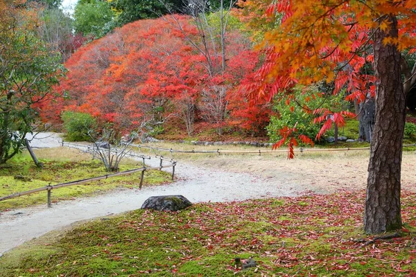 Jardin Japonais Automne Jardin Isuien Nara Japon Feuillage Automne — Photo