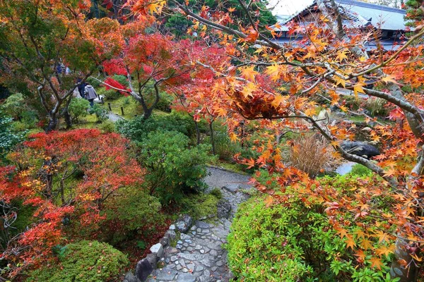 Sonbahar Yeşillik Yosun Bahçe Japonya Kırmızı Momiji Akçaağaç Ağaç Yoshikien — Stok fotoğraf