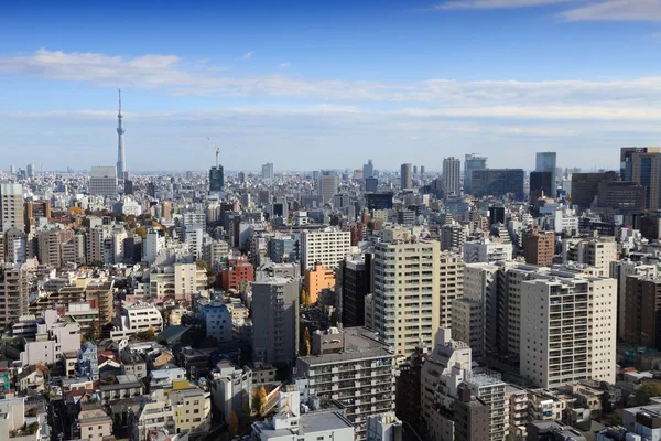 Tokyo Panorama Pohled Městské Panoráma Japonsku Bunkyo Ward — Stock fotografie