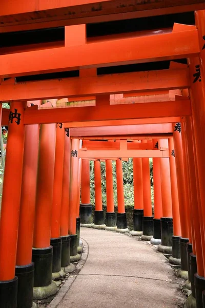 日本京都 2016 牌坊大门的京都 日本伏见 Inari 有超过 000 牌坊盖茨在伏见伊纳里 — 图库照片
