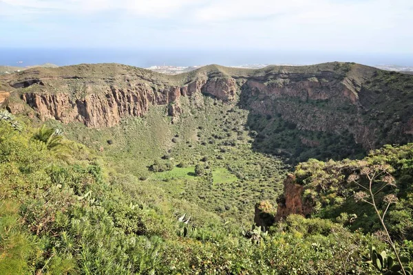 Caldera Bandama Vulkanische Landschap Van Gran Canaria Spanje — Stockfoto