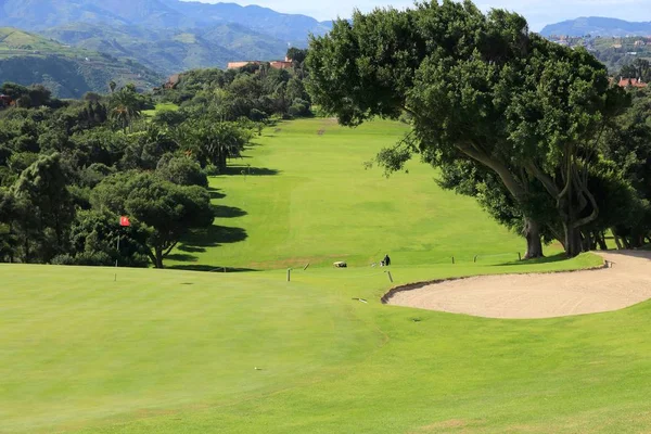 大加那利岛 西班牙 2015年12月6日 人们访问西班牙大加那利岛的真正俱乐部 高尔夫球场 加那利群岛是一个著名的高尔夫球场 全年高尔夫天气 — 图库照片