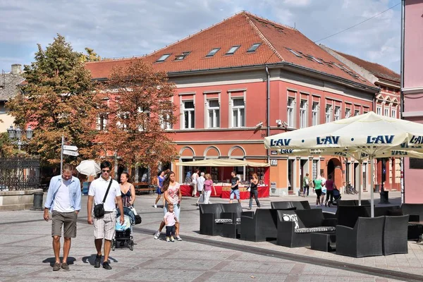 Novi Sad Serbia Agosto 2012 Gente Visita Casco Antiguo Novi — Foto de Stock