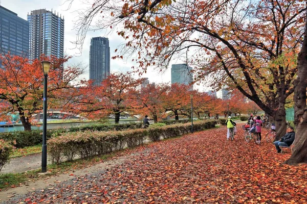 Osaka Japão Novembro 2016 Pessoas Visitam Folhas Outono Parque Minami — Fotografia de Stock