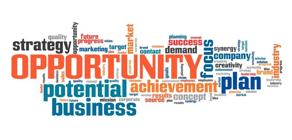 Opportunity Business Company Strategy Word Cloud Sign — Stock Photo, Image