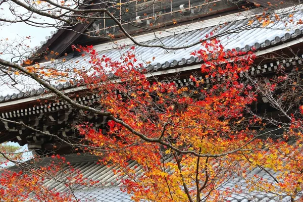 Markah Tanah Kyoto Daun Musim Gugur Kuil Nanzen — Stok Foto