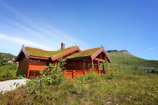 ホルダラン県 ノルウェー 2015 ホルダラン ノルウェーの草芝屋根の伝統的な木造住宅 芝の屋根や芝生屋根がスカンジナビアのログ家のための人気のあるソリューションです — ストック写真