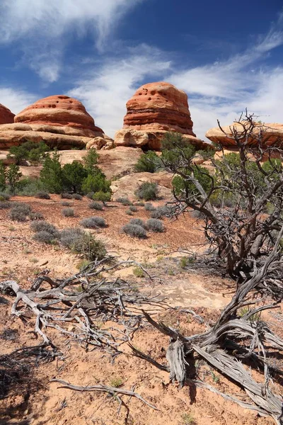 Natura Krajobraz Usa Utah Igły Dzielnicy Canyonlands National Park — Zdjęcie stockowe