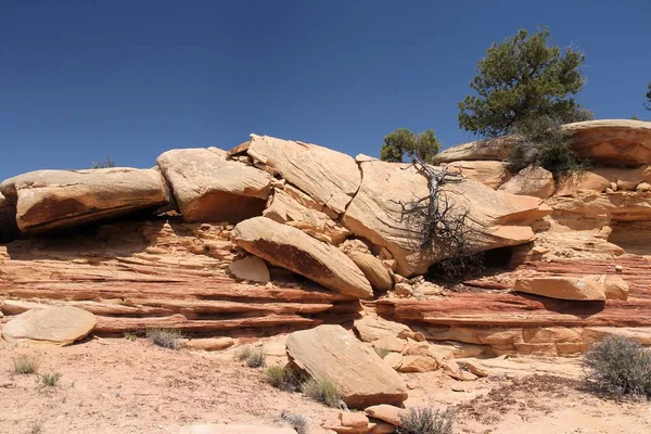 Stany Zjednoczone Natura Stanie Utah Igły Dzielnicy Canyonlands National Park — Zdjęcie stockowe