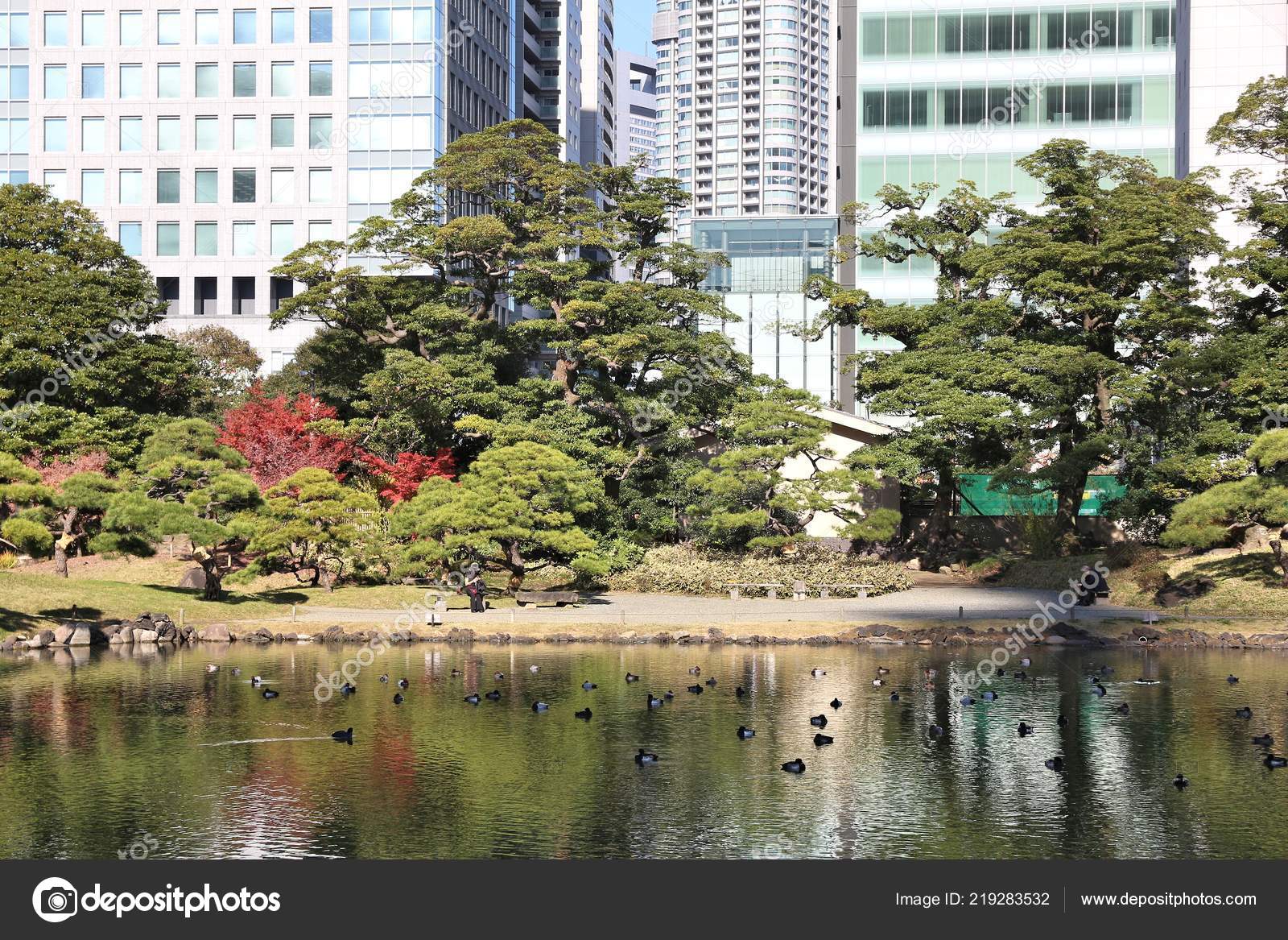 Autumn Tokyo Japanese Garden Kyu Shiba Rikyu Garden Stock Photo